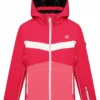 Dare 2b Ski-/snowboardjas "Belief II" Roze