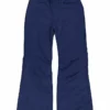 Roxy Ski-/snowboardbroek Donkerblauw